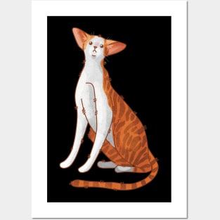 Red bicolor oriental cat - gifts for cat lovers Posters and Art